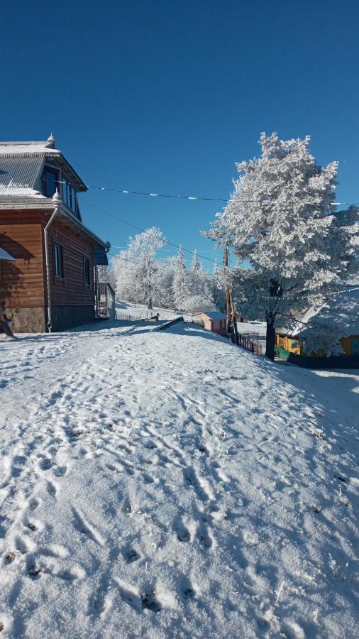 Вилла Gutsulska Oselya Krivopol'ye Экстерьер фото