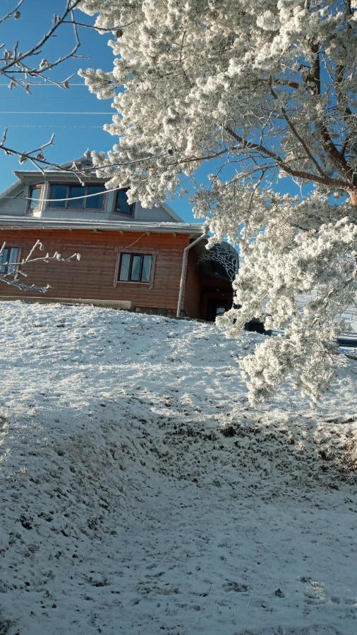 Вилла Gutsulska Oselya Krivopol'ye Экстерьер фото